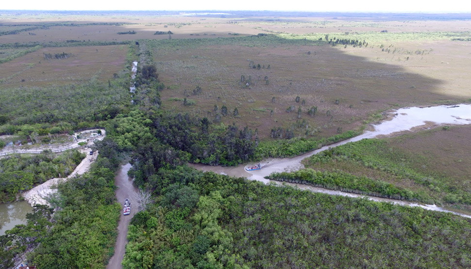 The airboats returning from an adventure into the Everglades.