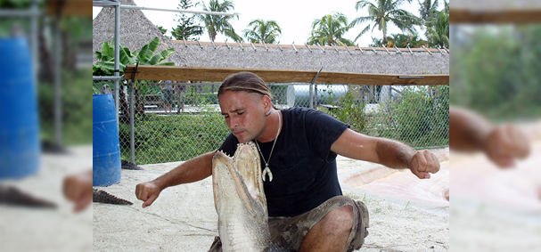 A man wrestles with an alligator the poses to take this photo.