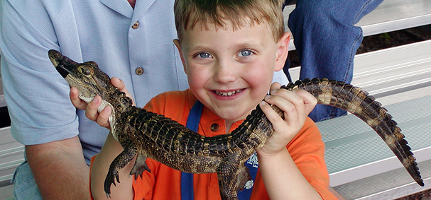 Everglades Alligator Farm History