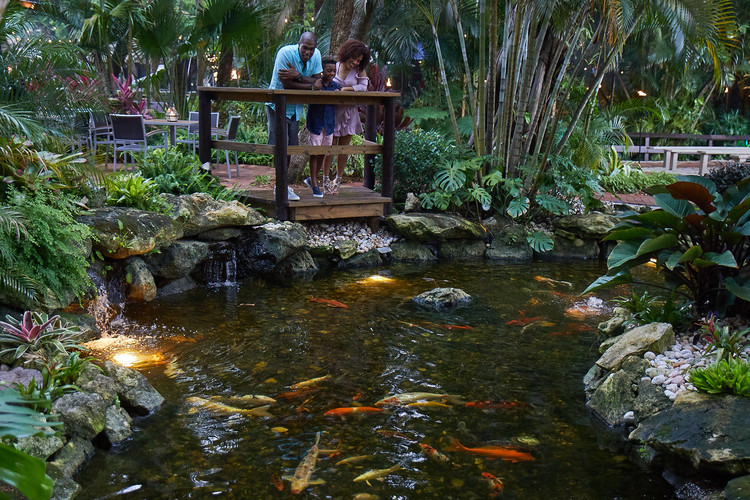 Enjoy the scenery at the tropical isle during the dinner cruise with Jungle Queen.