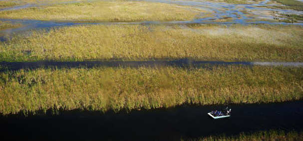 Sawgrass Recreational Park Aerial