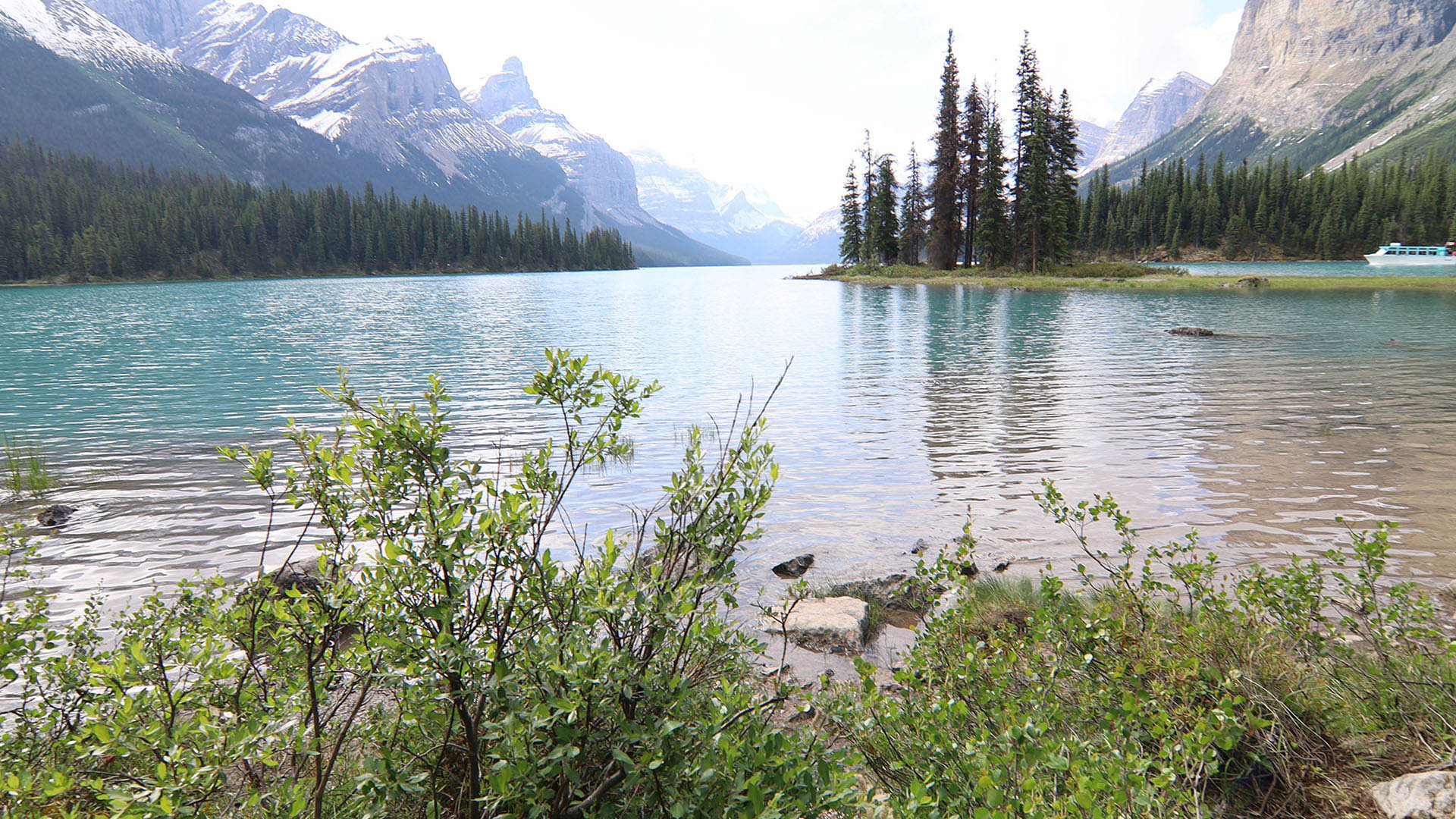 Maligne Lake Cruise