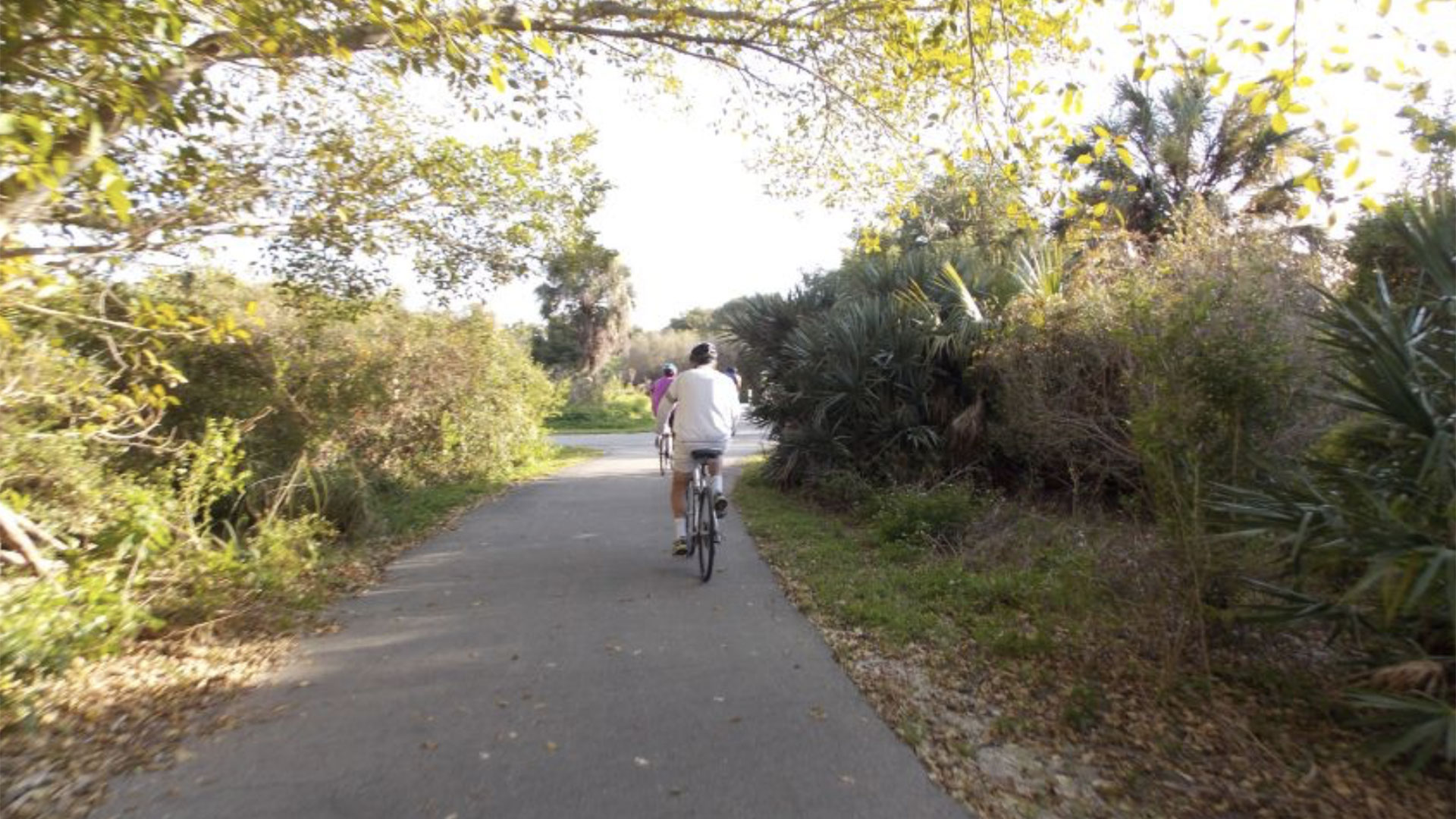 Full-Day Bike Rental Miami Beach 04