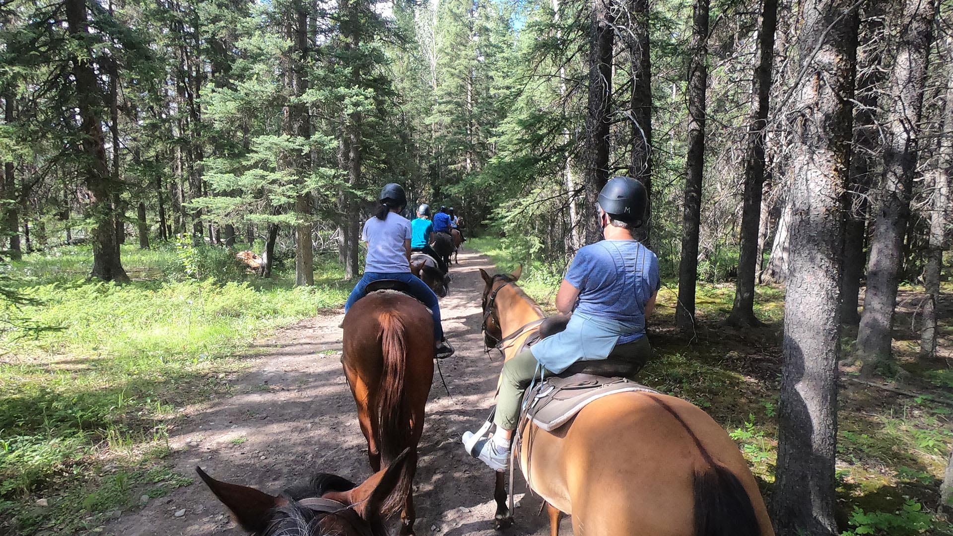 Spray River Horseback Riding