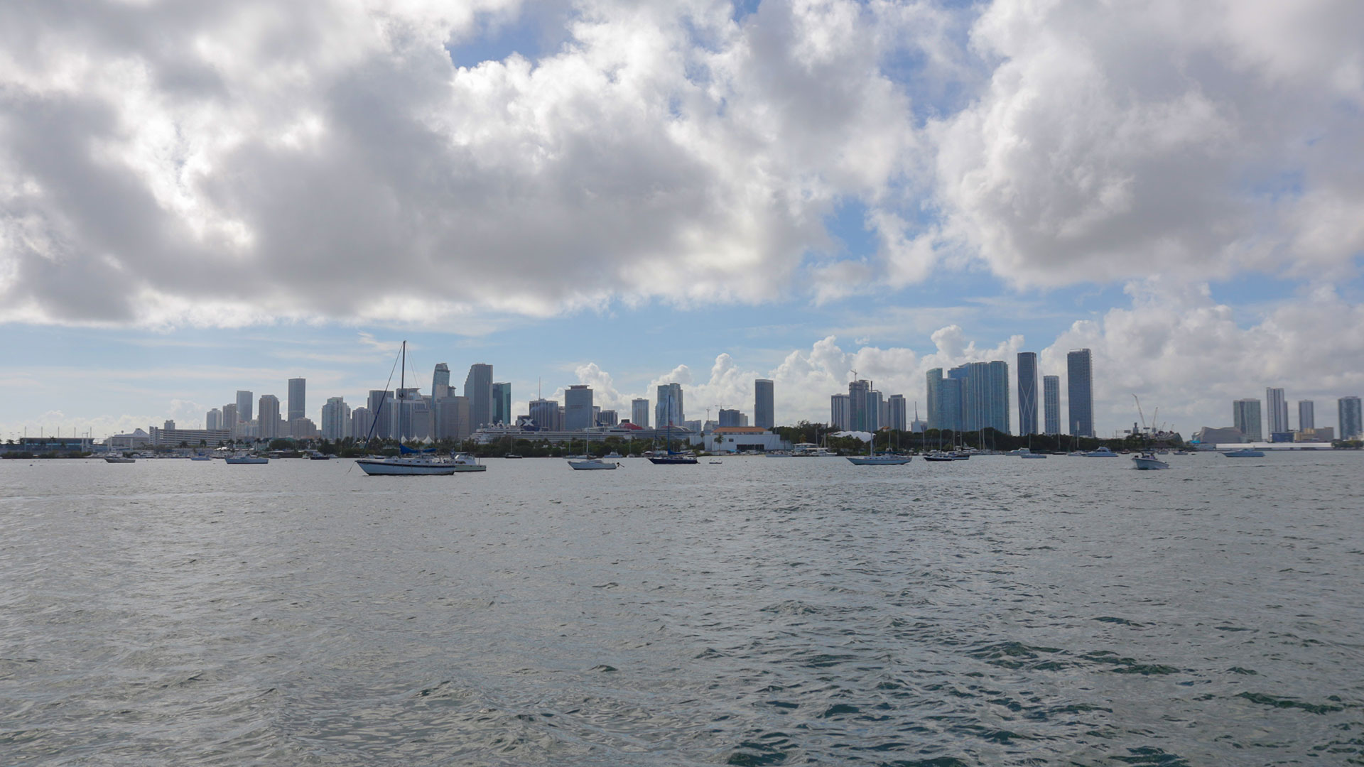 Sightseeing Cruises Miami