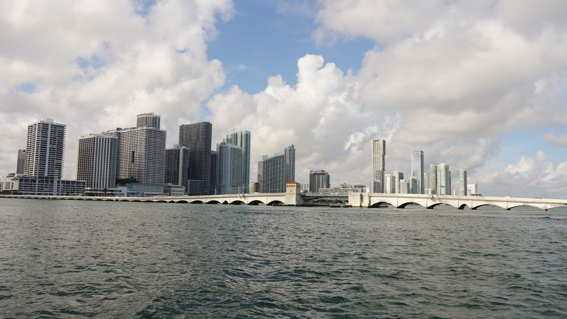 Sightseeing Cruises Miami