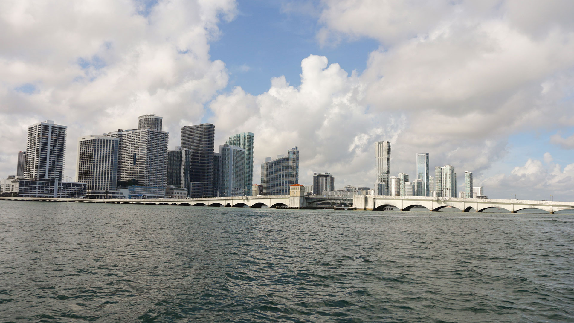 See the condos and skyscrapers along Biscayne Bay during your sightseeing cruise in Miami. 