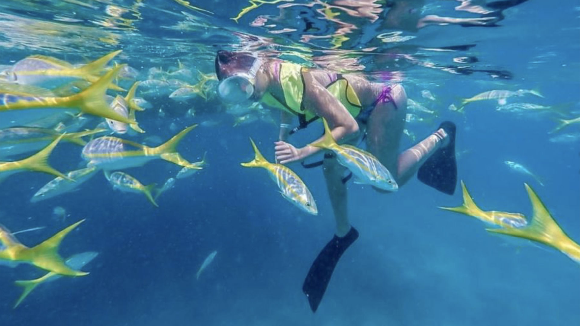 3-Hour Coral Reef Snorkeling in Key West 02