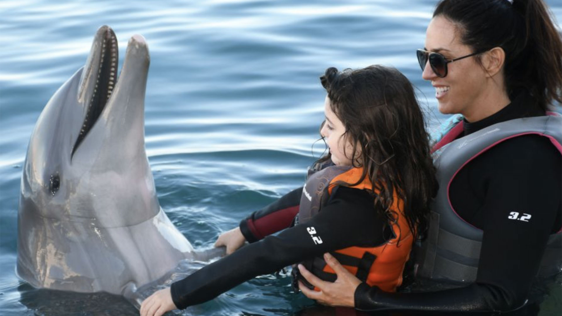 Marineland Dolphin Encounter St Augustine 04