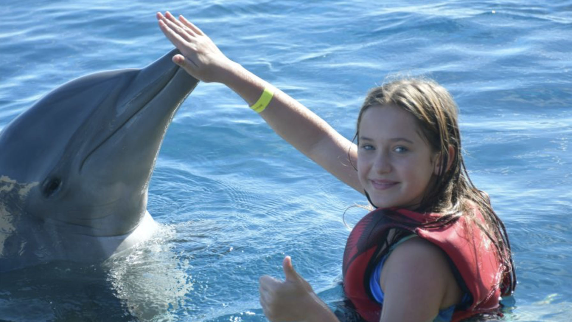 Marineland Dolphin Encounter St Augustine 05