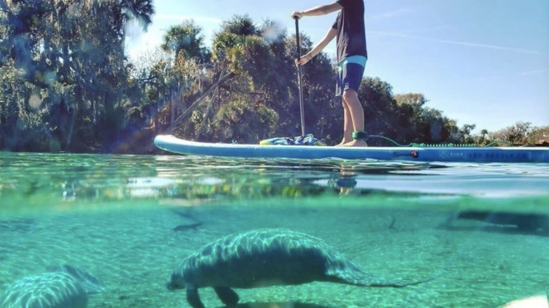 Paddleboard or Kayak Island Tour 01