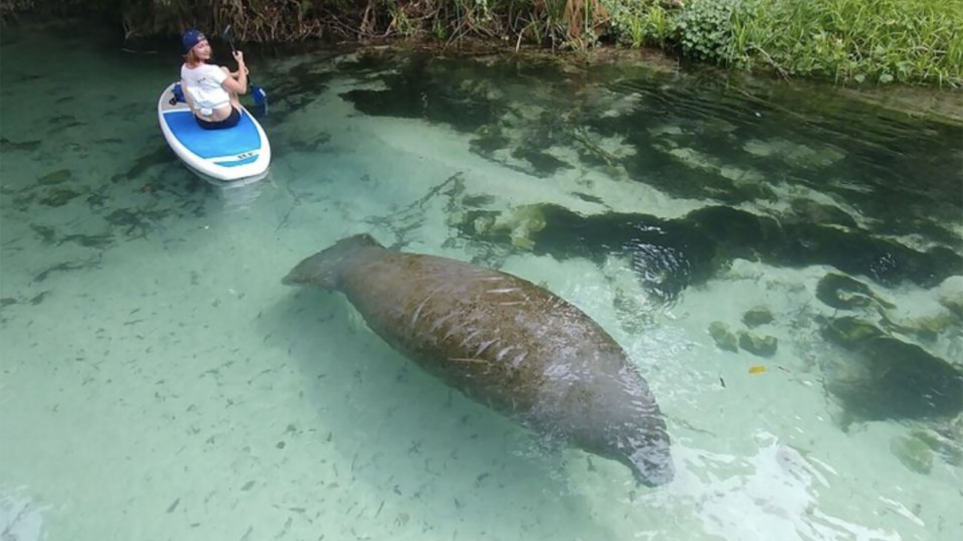 Paddleboard or Kayak Island Tour 03