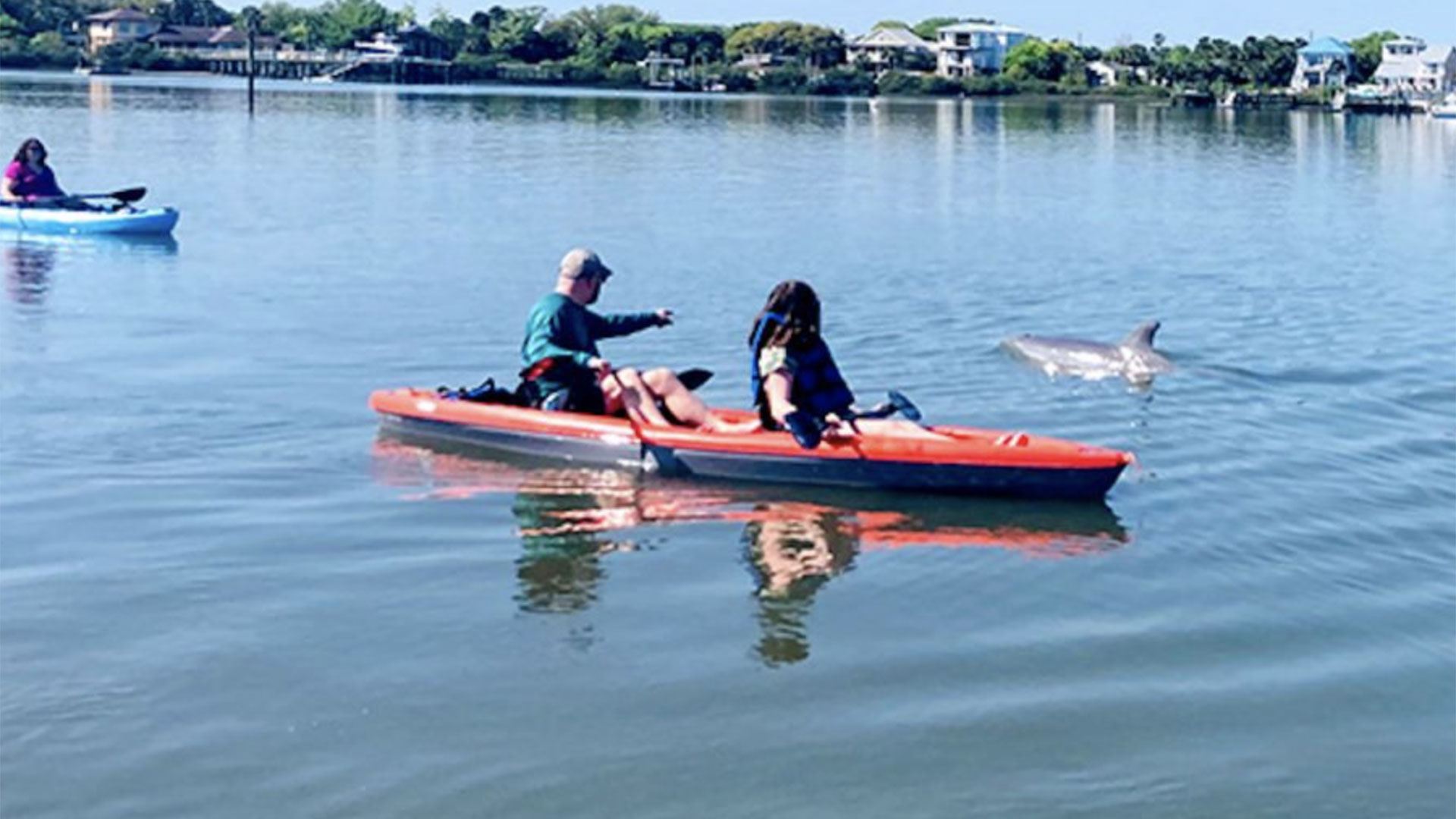 Dolphin and Manatee Paddle or Kayak Tour 01