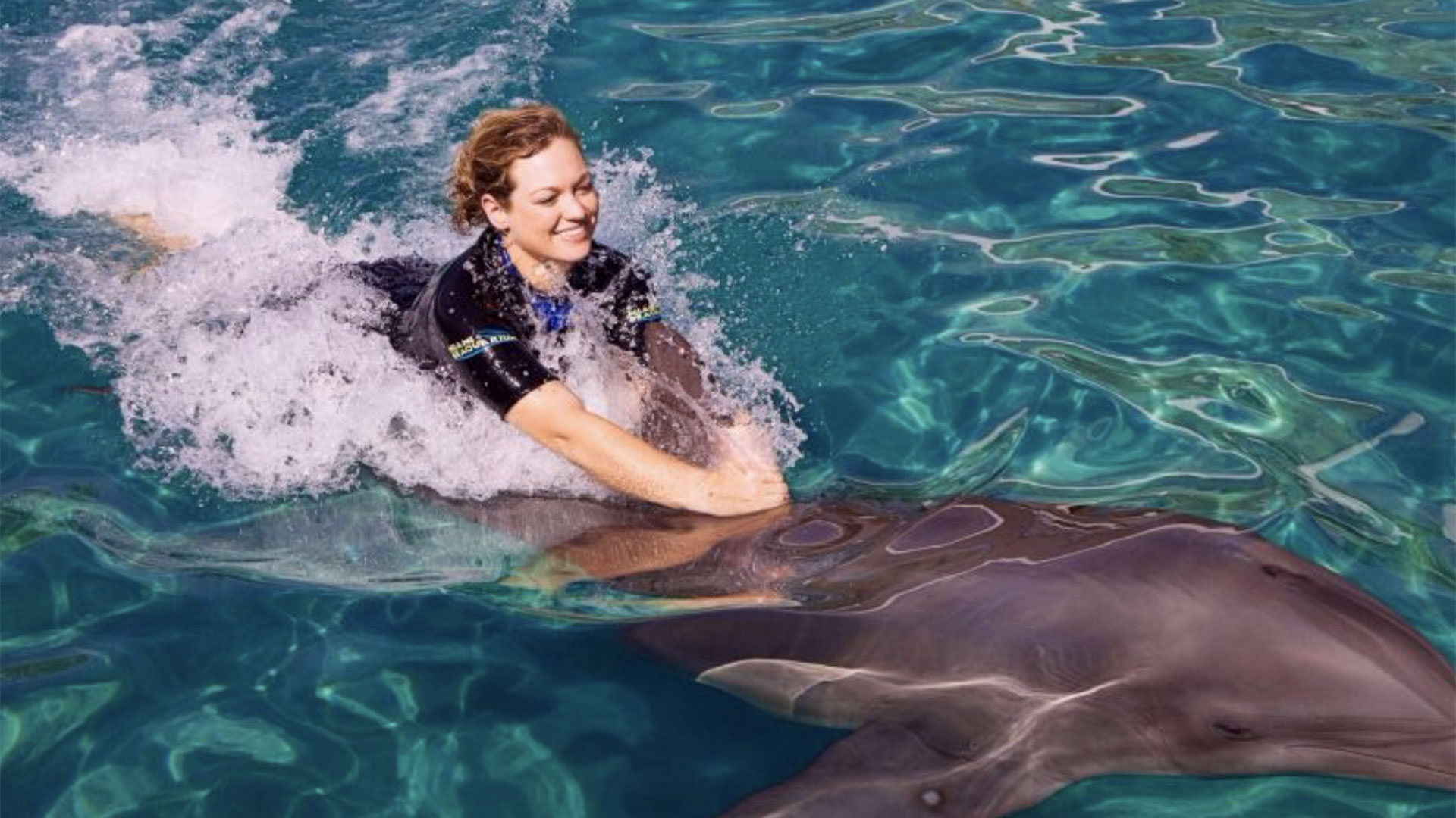 Swim with the Dolphins at Miami Seaquarium 01