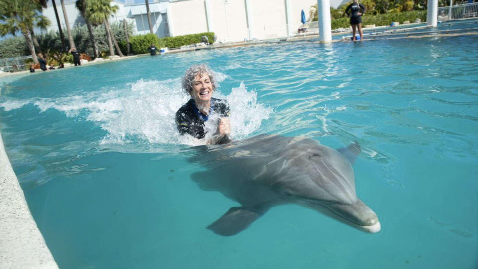Swim with the Dolphins at Miami Seaquarium 02