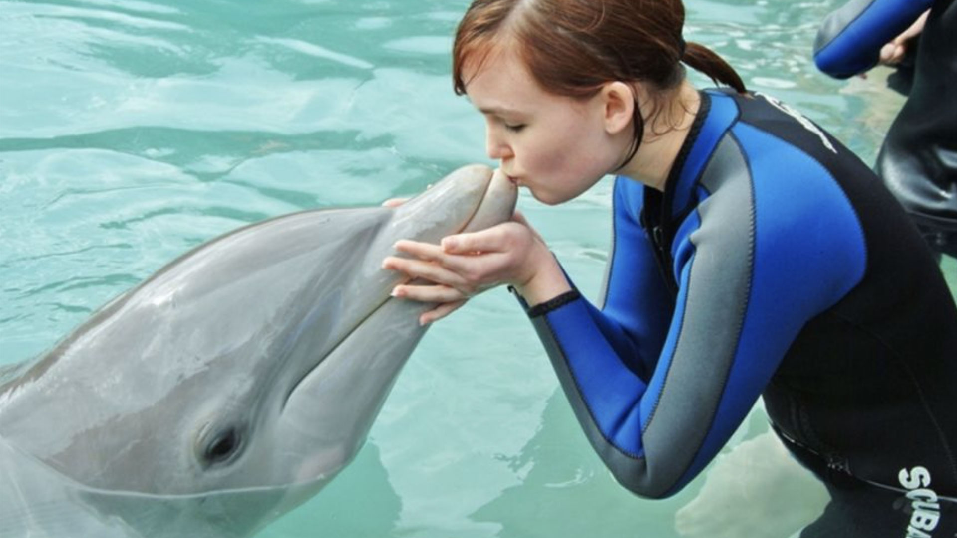 Swim with the Dolphins at Miami Seaquarium 03
