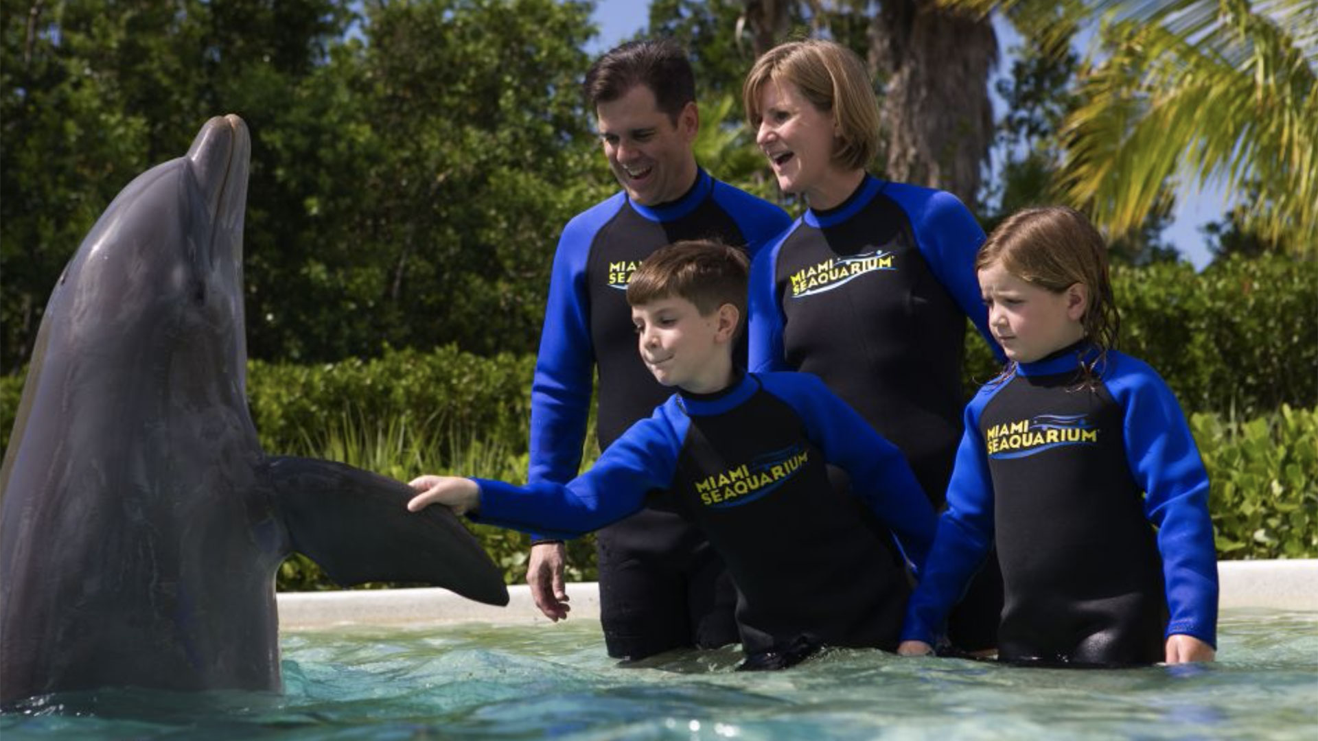 Dolphin Encounter at Miami Seaquarium 01