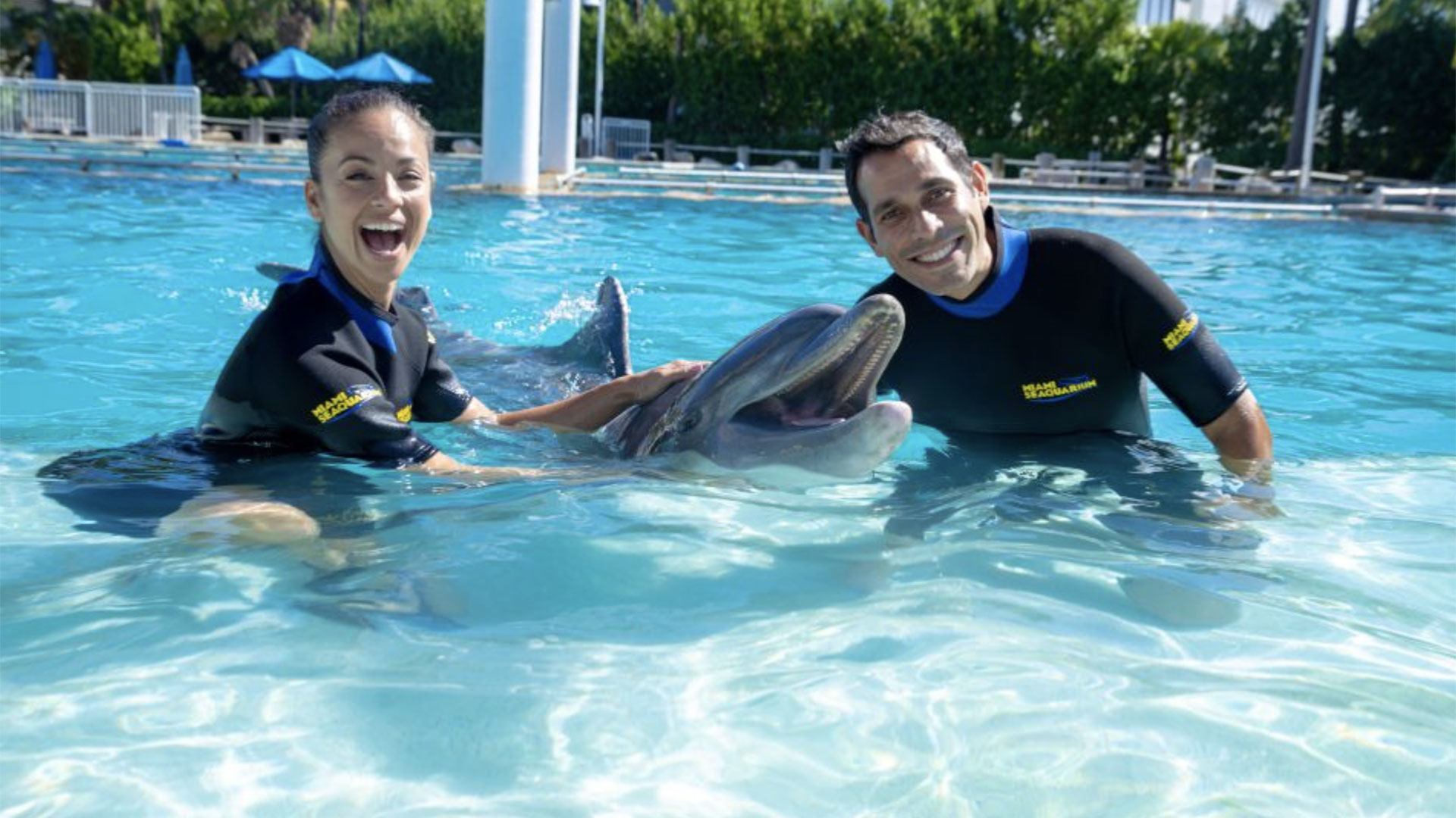Dolphin Encounter at Miami Seaquarium 02