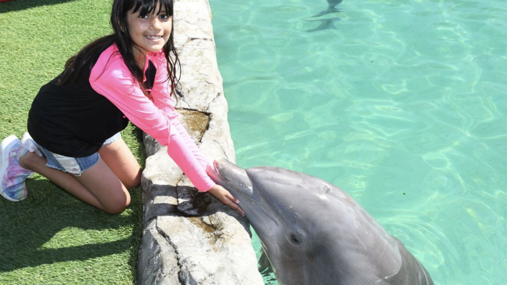 Dolphin Encounter at Miami Seaquarium 04