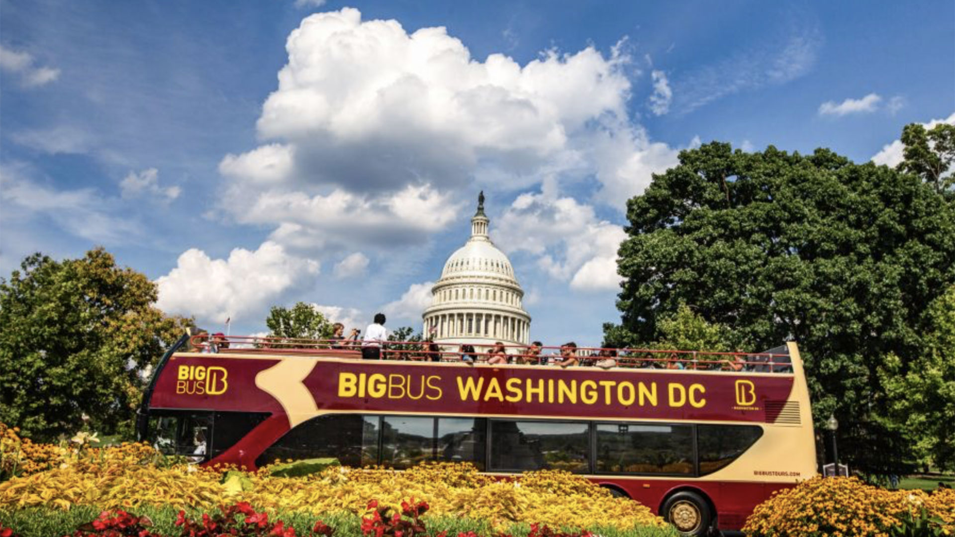 Hop-On Hop-Off Sightseeing Bus Tour Washington DC 03