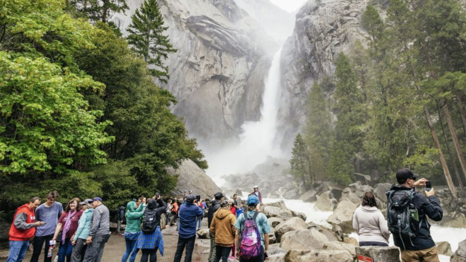 Yosemite National Park Guided Day Trip 01