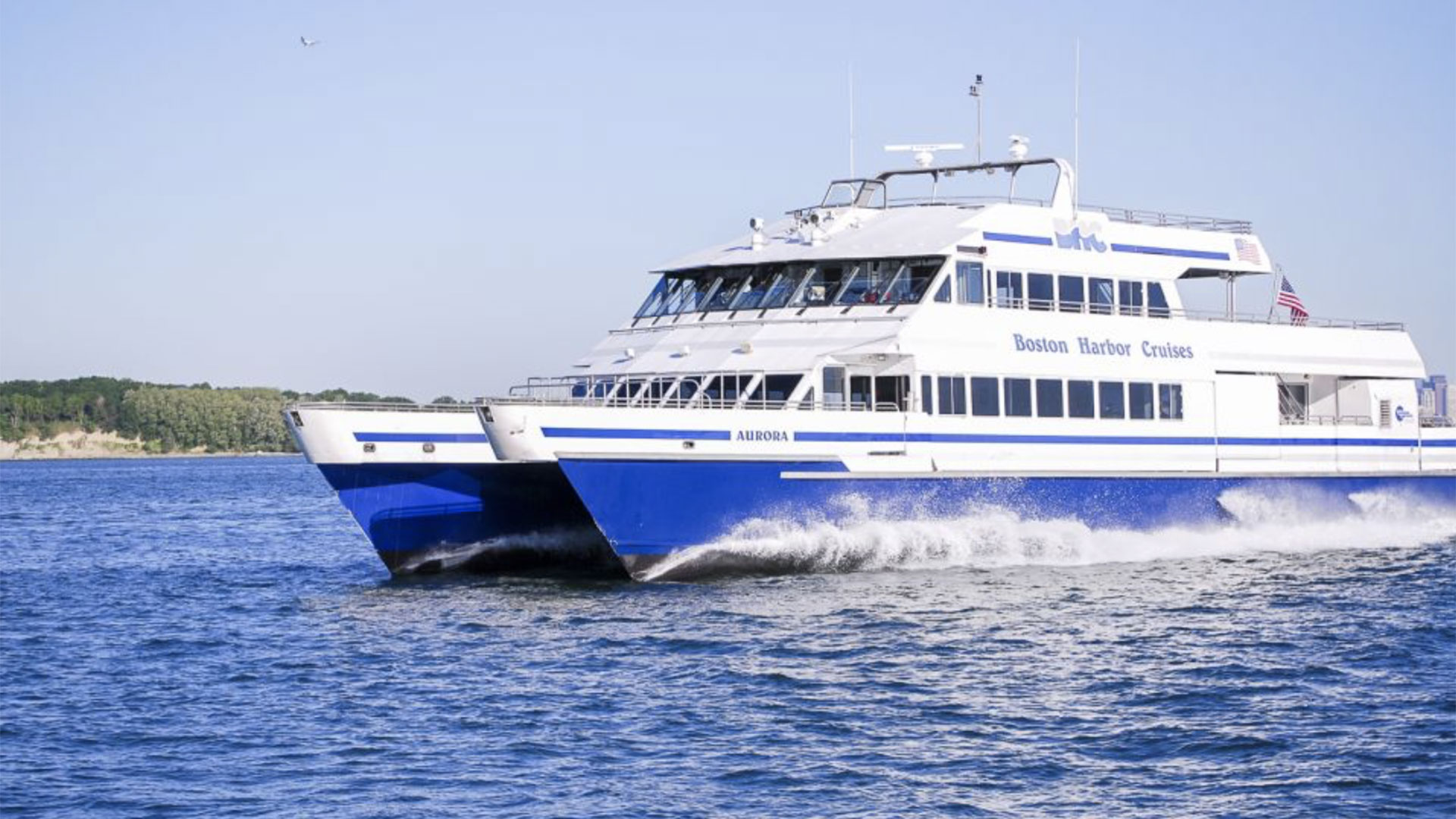 Boston Whale Watching Cruise 02