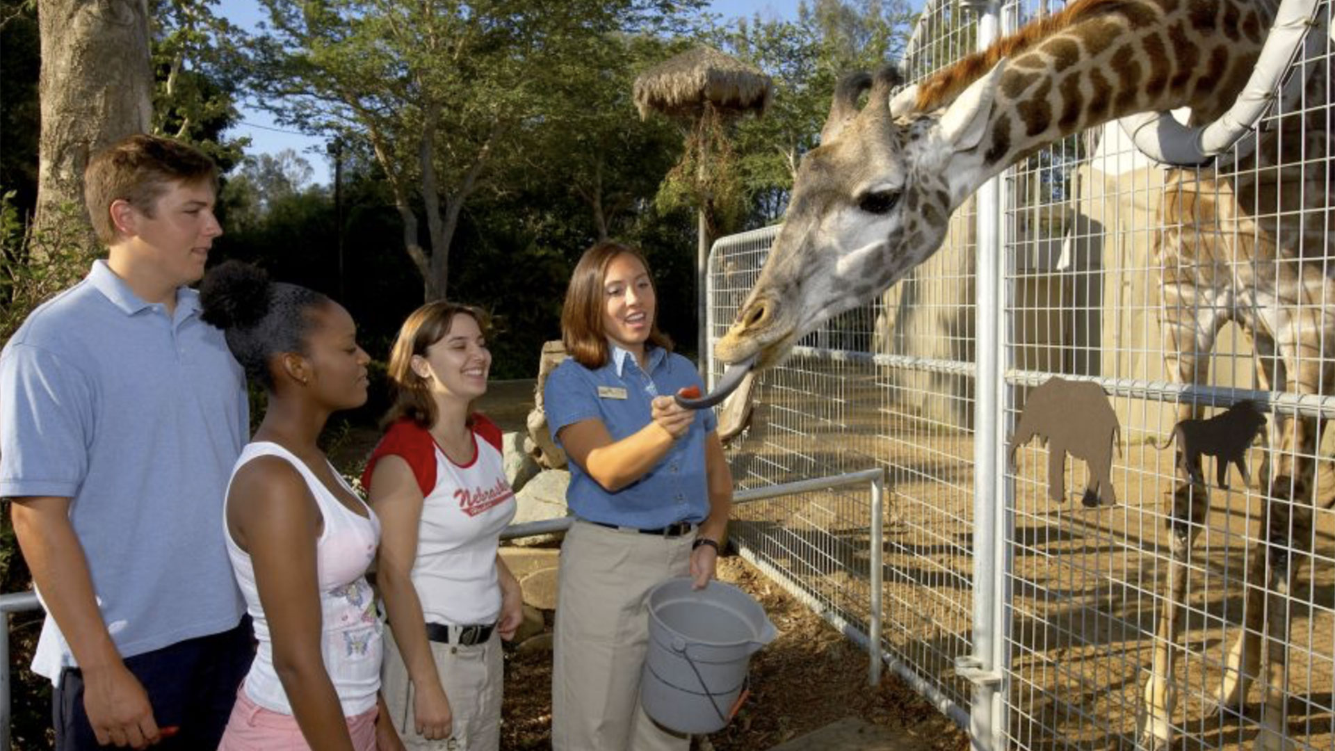 San Diego Zoo Admission Ticket 01