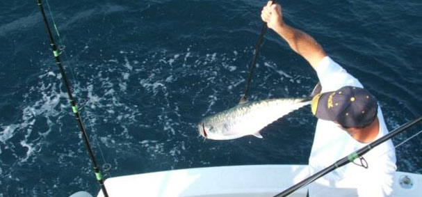 Get hand on experience working directly with the mate on a deep sea fishing excursion in Miami.