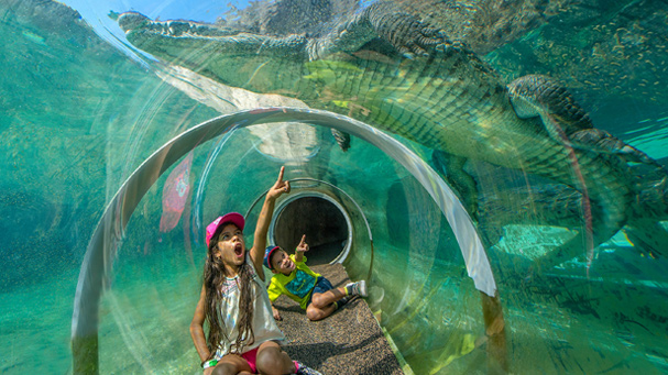 A girl points to an alligator right above her in the Croc Tube at Zoo Miami.